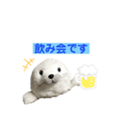 あざらしのおうちゃん 日常3（個別スタンプ：6）