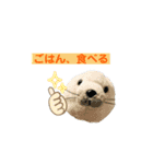 あざらしのおうちゃん 日常3（個別スタンプ：7）