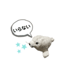 あざらしのおうちゃん 日常3（個別スタンプ：8）