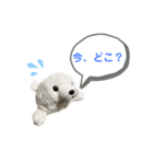 あざらしのおうちゃん 日常3（個別スタンプ：11）