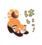 レッサーパンダのポへ 了解OK❣️ダジャレ（個別スタンプ：3）