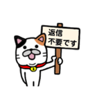 三毛猫★日常使い★敬語（個別スタンプ：10）