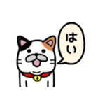 三毛猫★日常使い★敬語（個別スタンプ：14）