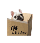 カブ子2（個別スタンプ：1）