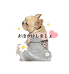愛犬フレブルはなちゃん（個別スタンプ：2）