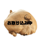 愛犬フレブルはなちゃん（個別スタンプ：3）