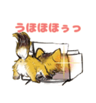 ヘケ猫 あいる（個別スタンプ：5）