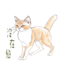 水彩の猫（個別スタンプ：7）