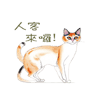 水彩の猫（個別スタンプ：14）