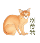 水彩の猫（個別スタンプ：40）