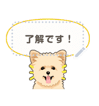 ポメプー - msg 1（個別スタンプ：3）