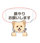 ポメプー - msg 1（個別スタンプ：20）