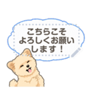 ポメプー - msg 1（個別スタンプ：22）