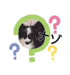 今日も元気です！（個別スタンプ：4）