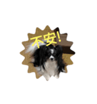 今日も元気です！（個別スタンプ：8）