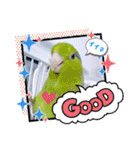 マメルリハ達14（個別スタンプ：2）