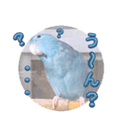 マメルリハ達14（個別スタンプ：4）