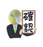 マメルリハ達14（個別スタンプ：5）