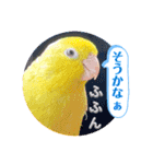 マメルリハ達14（個別スタンプ：13）