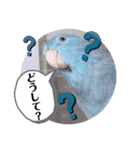 マメルリハ達14（個別スタンプ：16）