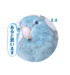 マメルリハ達14（個別スタンプ：20）