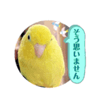 マメルリハ達14（個別スタンプ：21）