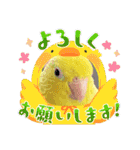 マメルリハ達14（個別スタンプ：25）