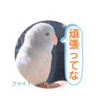 マメルリハ達14（個別スタンプ：27）