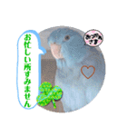 マメルリハ達14（個別スタンプ：28）