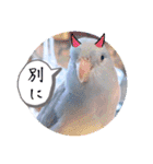 マメルリハ達14（個別スタンプ：31）