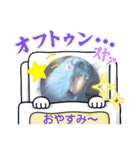 マメルリハ達14（個別スタンプ：32）