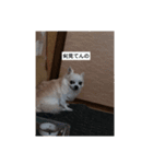 サクラヽ(*´∀｀)ノ（個別スタンプ：6）