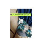 サクラヽ(*´∀｀)ノ（個別スタンプ：8）