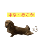 かわいいかわいいどうぶ2（個別スタンプ：10）