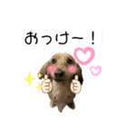かわいいかわいいどうぶ2（個別スタンプ：22）