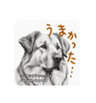 つぶやく犬図鑑(1)（個別スタンプ：15）