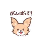 ゆるく優しく【犬の日】（個別スタンプ：26）