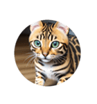 ベンガルネコ bengal cat（個別スタンプ：10）