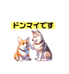 Cohgi ＆ Husky（個別スタンプ：8）