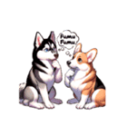 Cohgi ＆ Husky（個別スタンプ：13）