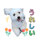 毎日みるくちゃん②（個別スタンプ：4）