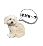 毎日みるくちゃん②（個別スタンプ：10）