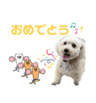 毎日みるくちゃん②（個別スタンプ：12）