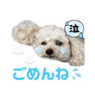 毎日みるくちゃん②（個別スタンプ：13）