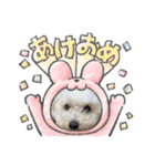 毎日みるくちゃん②（個別スタンプ：16）