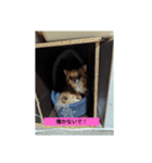 夢姫ちゃん（個別スタンプ：4）