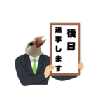 日常で使いやすいポメラニアンと仲間たち。（個別スタンプ：12）