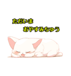 かわいい子猫 WH2 修正版（個別スタンプ：23）