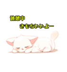 かわいい子猫 WH2 修正版（個別スタンプ：24）