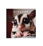 SugarGlider フクロモモンガ（個別スタンプ：6）